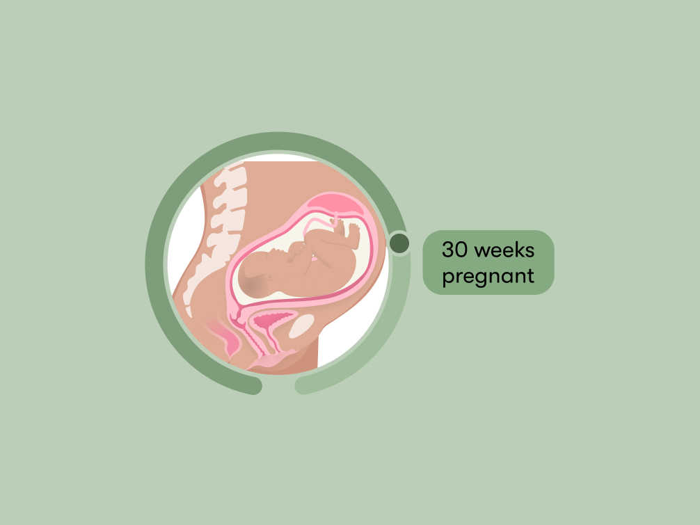30 weeks pregnant: Symptoms, tips & baby development